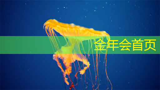 金年会首页：游戏原画设计接稿