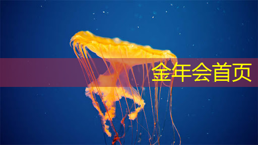 jinnian金年会：日韩风3d游戏特点有哪些