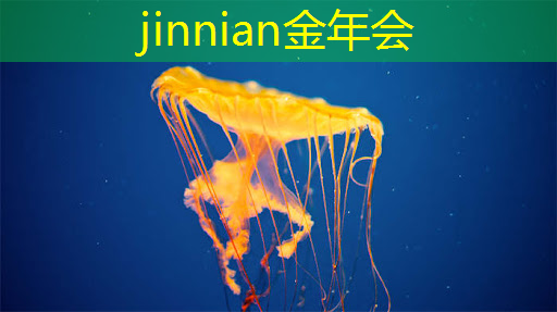 3d英雄联盟电脑游戏怎么玩