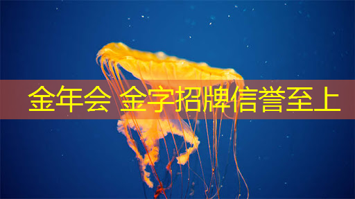 原画画接龙游戏