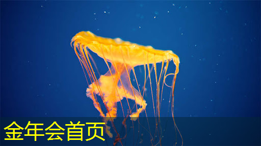 微信小程序砍树游戏叫啥
