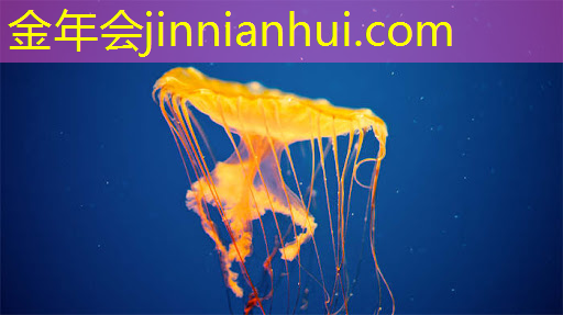 3d英雄联盟电脑游戏怎么玩