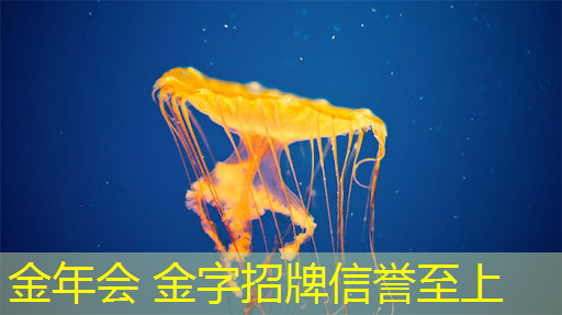 所有改原画的炫彩游戏